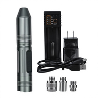 Endoscope ORL avec lentille anti-buée, étanche IPX6, 121 lumens, 5 heures d'autonomie de la batterie, en métal, pour le contrôle des oreilles, du nez et de la gorge des animaux de compagnie, petits animaux