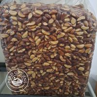 Nueces de Brasil a granel de cosecha fresca de alta calidad de Perú