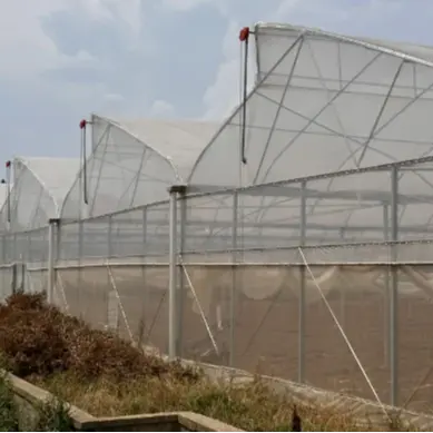 Hete Verkoop Groene Huis Metalen Frame Tuinbouw Tropische Kas Prijs