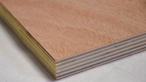 Panneau de <span class=keywords><strong>contreplaqué</strong></span> Bintangor commercial à prix avantageux 8mm 9mm - Product Image 4