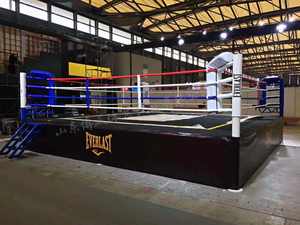 Equipo <span class=keywords><strong>de</strong></span> entrenamiento <span class=keywords><strong>de</strong></span> boxeo profesional <span class=keywords><strong>4x4</strong></span> Ring Da Boxe Kick Boxing Telo Per Ring 6x6 20 ft Olympic Boxing Ring - Product Image 2