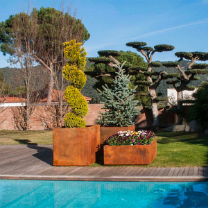 Idées de <span class=keywords><strong>jardin</strong></span> <span class=keywords><strong>aménagement</strong></span> paysager extérieur grande boîte de jardinière de légumes en métal plantation surélevée en acier lits de <span class=keywords><strong>jardin</strong></span> - Product Image 6