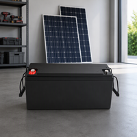 Paket Baterai Penyimpanan Energi 12V 100Ah 200Ah Lifepo4 untuk Sistem Penyimpanan Energi Surya