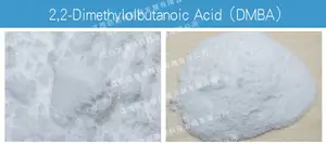 2 2-dihydroxymethylbutyric Acid DMBA Tasteless Dimethylolbutanoic AcidDissolve Quickly Dimethylolbutanoic Acid