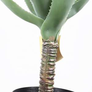 Plante artificielle naturelle et colorée, bonsaï Agave Potatorum <span class=keywords><strong>Variegata</strong></span> - Product Image 5