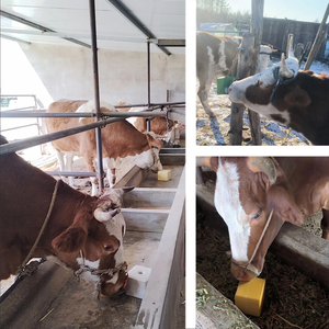 Nuevo Bloque de Sal Mineral de Alta Densidad con Oligoelementos para Ganado, Ovejas, Caballos, Aditivo para Alimentación Animal, Ladrillo de Sal de 20 kg - Product Image 5