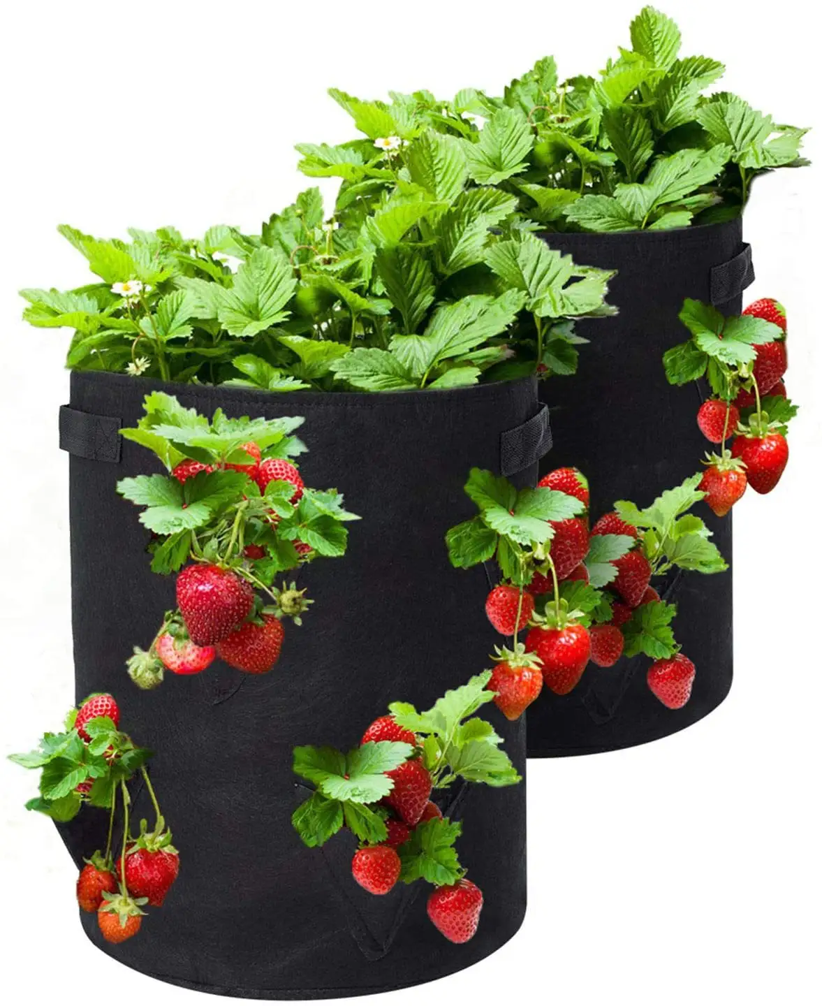 Bodenverschlussverschluss auf den Boden nach unten Saatgut Krautloah Löcher Erdbeere-Bauertaschen hängender Filz-Tomaten-Anbaustasche