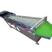 Automatische Appelsortering Aardappeldata Bosbessen Fruit Sorteermachine