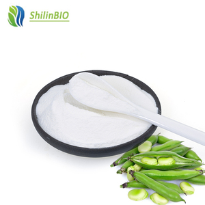 Natural <strong>Fava</strong> <strong>Bean</strong> Protein <strong>Powder</strong> Isolate Bulk Pice Purity 90% - Product Image 3