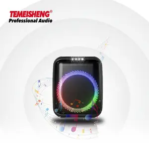 Temeisheng 2024 nuovo arrivo privato 8 pollici Super basso multicolore luce boombox portatile esterno mini audio altoparlante per feste