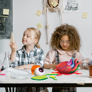 Tổng Giải Phẫu Tim Kit Bóc Vỏ Khoa Học Thí Nghiệm Con Người Khoa Học Kit Gốc Đồ Chơi Cho Bé Trai Và Bé Gái - Product Image 4