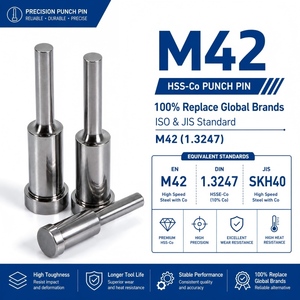 M42 hss-Co 1.3247หมุดเจาะขึ้นรูปเย็น2700HV เคลือบ ticn ที่เจาะรูความแข็งสูงสำหรับงานหนัก - Product Image 4
