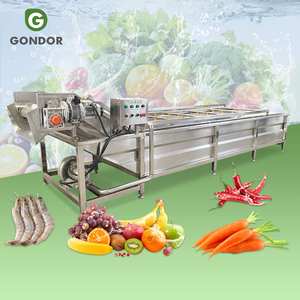 Lavadora Profesional de Verduras con Burbujas de Ozono para Fresas, Apio y Lechuga, Equipo de Limpieza de Alimentos con Cinta Transportadora - Product Image 1