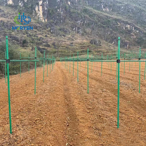 Chất lượng cao FRP vườn Stakes sợi thủy tinh Tree Stake - Product Image 6