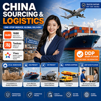Agent logistique DDP rapide Chine-Inde, transitaire aérien et maritime porte-à-porte, expédition de fret, dédouanement, entreposage