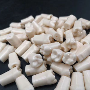 All'ingrosso simulatore dentale manichino testa fantasma pratica dente falso - Product Image 6