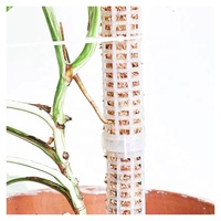 Pôle de mousse de Sphagnum empilable auto-arrosage pôle de mousse en plastique bâton de plante en plastique Transparent pour le jardin de la maison