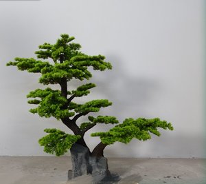 Hot Bán Cuộc Sống Kích Thước Nhân Tạo Cây Thông Chi Nhánh Thông Kim Cây Nhựa Bền/Sợi Thủy Tinh Tùy Chỉnh Chiều Cao Màu Sắc - Product Image 5