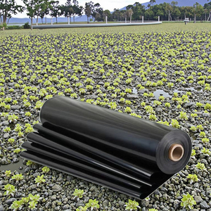 Geomembrane hde/eva/lldpe geomembrane สำหรับฟาร์มปลากุ้งฟาร์มหลุมฝังกลบบ่อเขื่อนทนต่อรังสี UV ทนทานกันน้ำ5ปี - Product Image 2