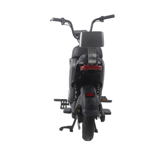 จักรยานไฟฟ้าสองล้อสองล้อสำหรับผู้ใหญ่จักรยานตะกั่วกรดแบบสองที่นั่งจากโรงงานจีน - Product Image 6