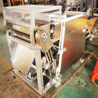 Machine à dénoyauter les prunes, cerises, pêches, abricots, dattes rouges et olives à vendre