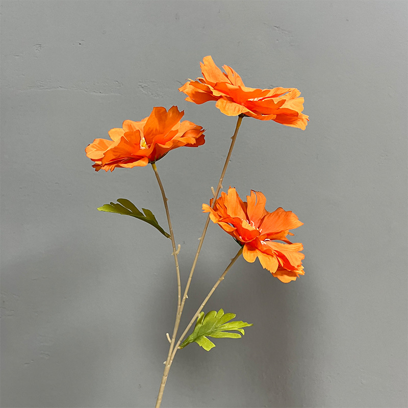 3-head Lanxi-Orange