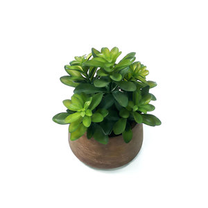 Plante succulente artificielle en <span class=keywords><strong>laurier</strong></span> dans un pot en papier mâché, plante en faux jade, faux bonsaï succulent pour la décoration moderne de la maison et du bureau - Product Image 3