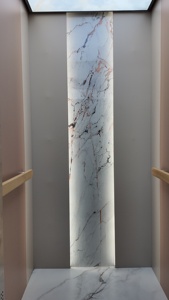 Nuevo Ascensor Residencial de Acero en Color, 250 kg, 0.4 m/s, Acero Artístico Gris Moderno con Acabado en Cuero Caqui y Suelo de Mármol - Favorito de las Villas Modernas - Product Image 4