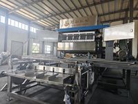 Machine de production de barquettes à œufs en pâte à papier entièrement automatique de pointe pour une ligne de formage efficace du papier usagé en carton