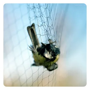 Get A Wholesale bird trap net pigeon For Property Protection