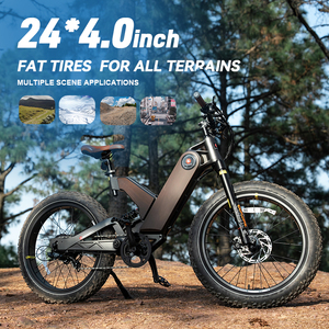 Bicicleta Eléctrica Híbrida con Neumáticos Anchos, 7 Velocidades, Sensor de Torque, 750W, 24 Pulgadas, Asistencia al Pedaleo, Disponible en Almacén de EE. UU. - Product Image 5