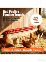 Nouvelle mangeoire en plastique pour poussins, canetons, cailles, 98 cm, avec couvercle rabattable, plateau d'alimentation pour volailles, 42 trous, remplissage facile, ferme
