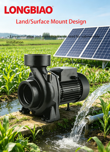 Pompe centrifuge solaire SCPM 72V à courant continu sans balais à haut débit pour l'irrigation agricole et le transfert d'eau, à économie d'énergie - Product Image 2