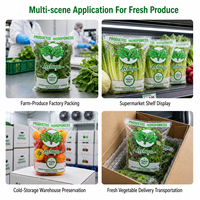 Sacs d'emballage trapézoïdaux en plastique transparent de qualité alimentaire CPP pour légumes, vente en gros du fabricant, pour ferme hydroponique