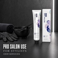 Crème colorante pour cheveux permanente de qualité supérieure à base de plantes sans ammoniaque et sans PPD OEM 100 ml Teinture pour cheveux gris