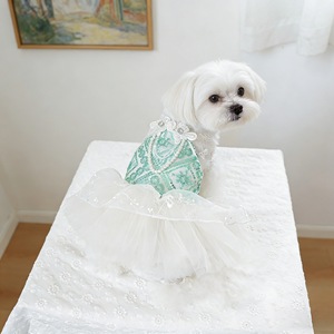 Vestido Mint Mambo para Teddy, Bichón, Pomerania, Gatos y Cachorros, Ropa Floral de Poliéster para Mascotas, Falda para las Cuatro Estaciones GGQ20260113-23 - Product Image 3