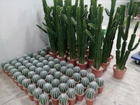Cactus artificiel en pot en plastique 20x18x36cm pour usage extérieur