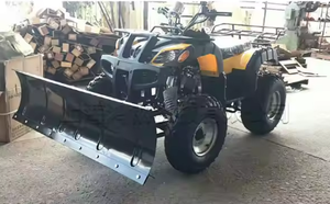 Hot Bán Mùa Đông Ổ Đĩa Bốn Bánh Xăng Snowplow Bãi Biển Xe Lấy Cảm hứng Đi xe-Trên Vườn Tuyết Quét Cho Thanh toán bù trừ Tuyết - Product Image 3