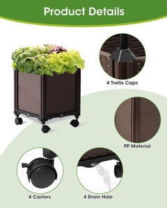 Maceta con diseño de cabeza de pájaro, éxito de ventas en China en 2026, fácil de mover, hermosa y práctica, con retención de agua. - Product Image 6