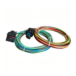 Faisceau de câbles automobile 12V personnalisé de haute qualité avec noyau en cuivre pour K Swap Emtron <span class=keywords><strong>Fueltech</strong></span> Haltech Link Motec Forums MSW ECU PVC - Product Image 3