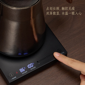 Ruky Pure Titanium Electric <b>Kettle</b> 99.949% Purity <b>Temperature</b> <b>Control</b> Hand Brew Tea <b>Kettle</b> - Product Image 4