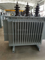 Transformateur de distribution triphasé immergé dans l'huile Ximai Electrical 50 kVA 200 kVA 800 kVA monté sur poteau avec bobine toroïdale