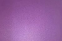 Plaque anti-collision Roland Purple