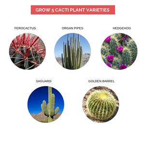 Kit de Jardinería Orgánica Certificada por el USDA para Plantas de Cactus, Frascos de Semillas, Regalo para el Jardinero Inusual - Product Image 4