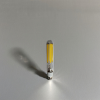Ampoule intelligente à filament LED haute puissance 41W E40 T46 230V corps en verre haute luminosité certifié AC/DC ROHS disponible pour E27 E26