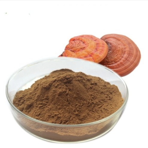 Çin prim tedarikçisi üst Ganoderma Reishi kabuk-kırık Sporoderm-kırık Spore tozu Reishi mantarı Extractt - Product Image 3