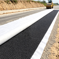 Alfombra de Drenaje Geotextil 3D de HDPE - Placa Azul para Retención de Agua en Techos - Apta para Proyectos de Ingeniería Civil - Muestra Gratuita