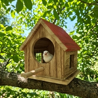 Nichoir en bois de paulownia naturel, résistant à la pluie, pour oiseaux sauvages, anti-pourriture, cabane de reproduction légère, décoration suspendue