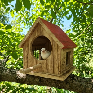 Casa para Pájaros de Madera de Paulownia Natural, Resistente a la Lluvia, Caja de Anidación para Aves Silvestres, Resistente a la Putrefacción, Cabina de Cría Ligera, Decoración Colgante - Product Image 3