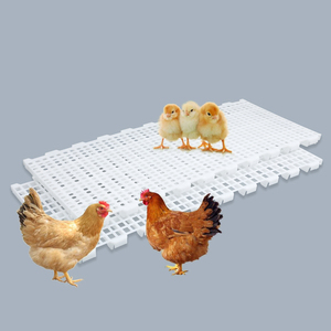 พื้นตาข่ายพลาสติกสำหรับเลี้ยงไก่ ขนาด 1200*500*40 มม. สำหรับฟาร์มสัตว์ปีก ขนาดรู 1.5*1.8 ซม. และ 2*2.4 ซม. - Product Image 1
